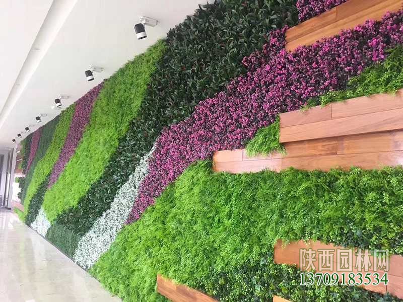 新款植物墙,植物墙